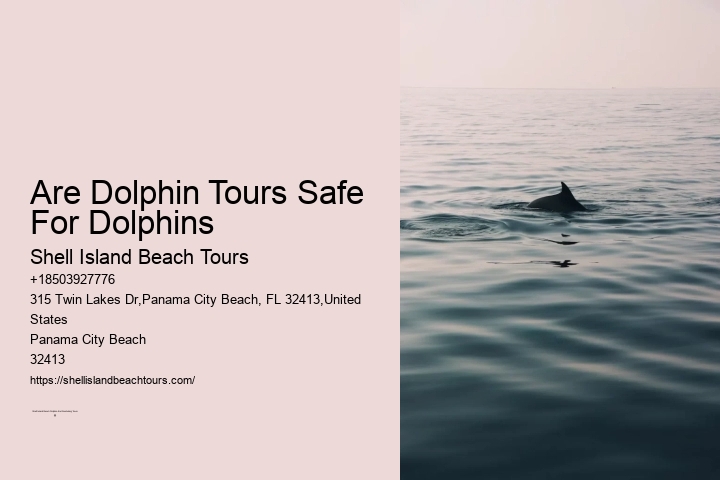 Are Dolphin Tours Safe For Dolphins