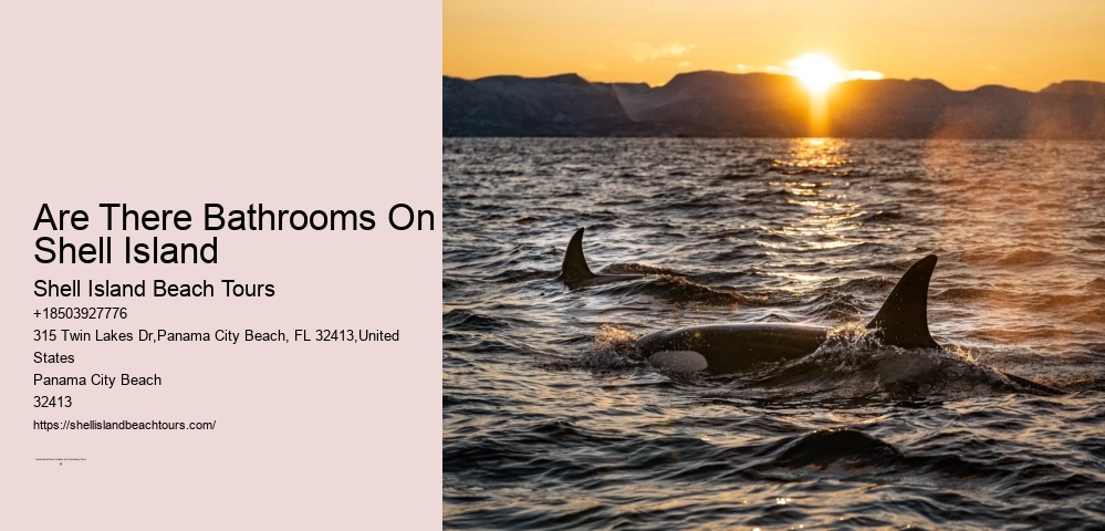 Get Out Of Your Boat Or Kayak