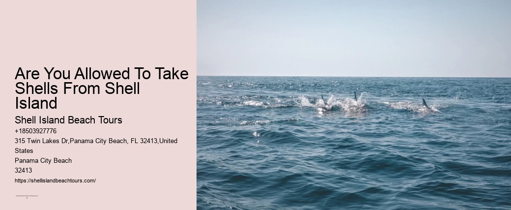 Are You Allowed To Take Shells From Shell Island