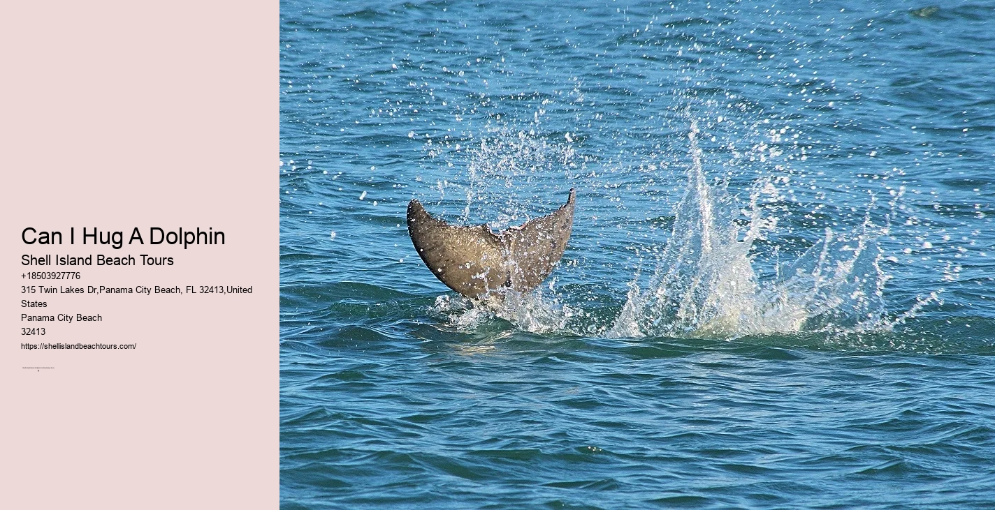 Shell Isle Tranquil Cruise