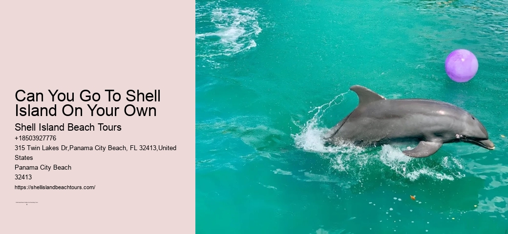 Dolphin Fantasy Cruise