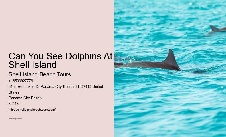 Approaching Them Too Closely Or Attempting To Touch Or Hug Them Can Disrupt Their Natural Behaviors And Cause Stress