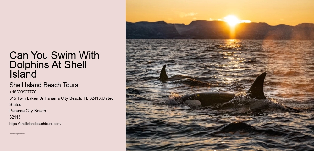 8 Fun Things To Do At Shell Island, Florida