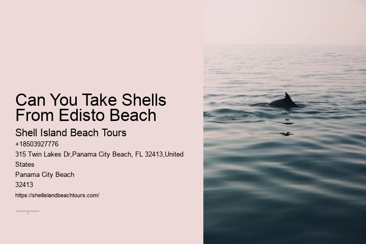 Can You Take Shells From Edisto Beach