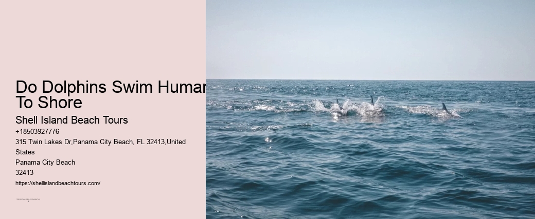 Do Dolphins Swim Humans To Shore