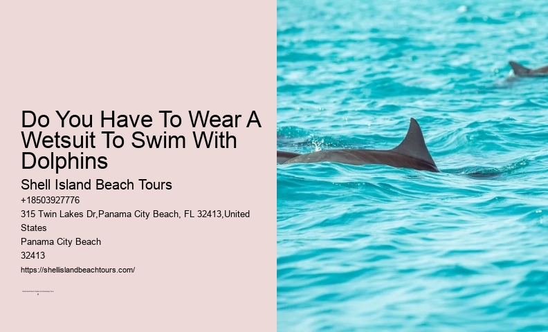 What Are The Risks Of Hugging Dolphins In The Wild