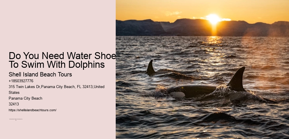 Swimming With Captive Dolphins