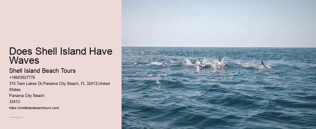 Does Shell Island Have Waves