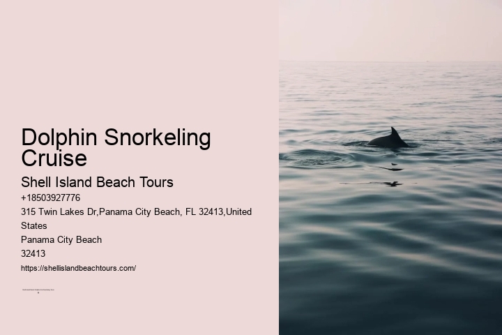 Dolphin Snorkeling Cruise