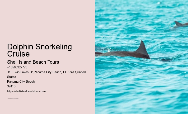 Why Can't You Wear Jewelry With Dolphins