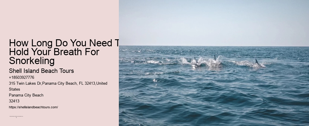 Common And Rare Types Of Shells Found On The Beach