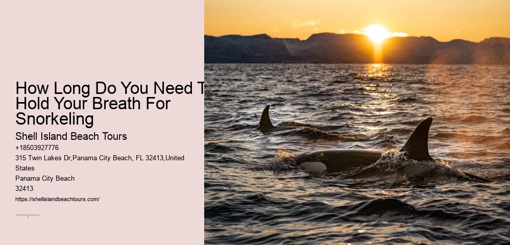 How Long Do You Need To Hold Your Breath For Snorkeling