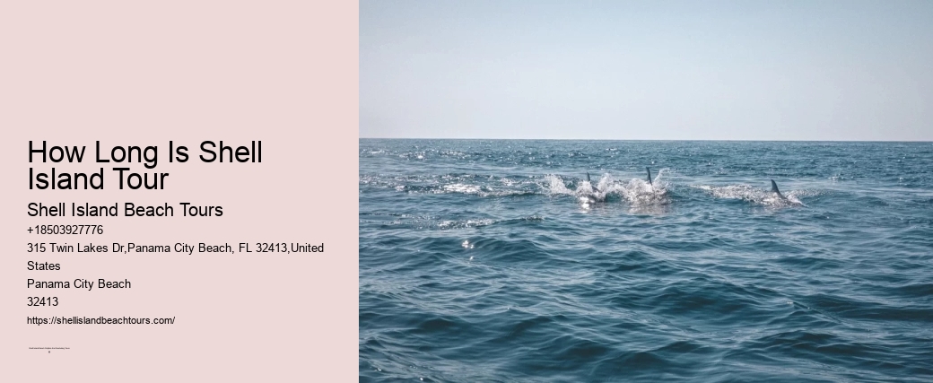 How To Catch Fish Even When Dolphins Are Around