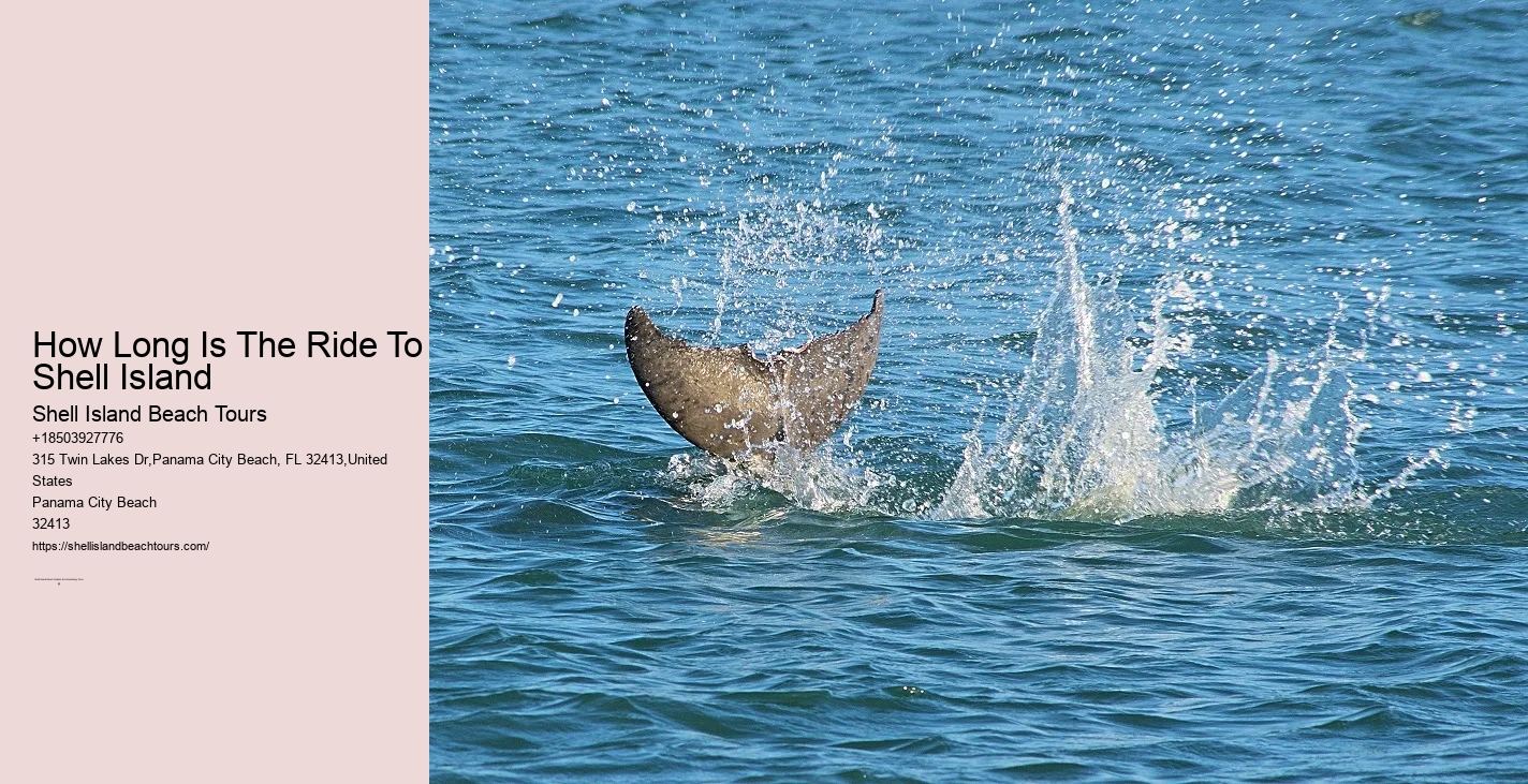 Coastal Tranquility Cruise