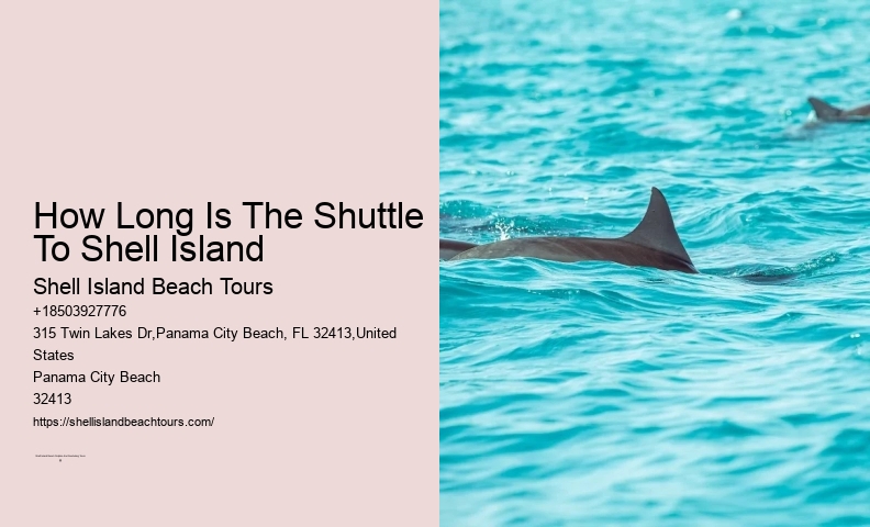 What Is Shell Island Famous For