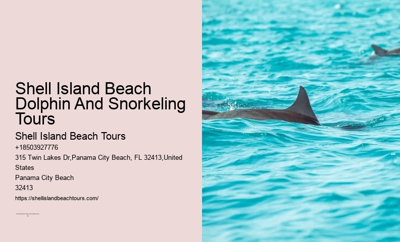 Diving With Dolphins