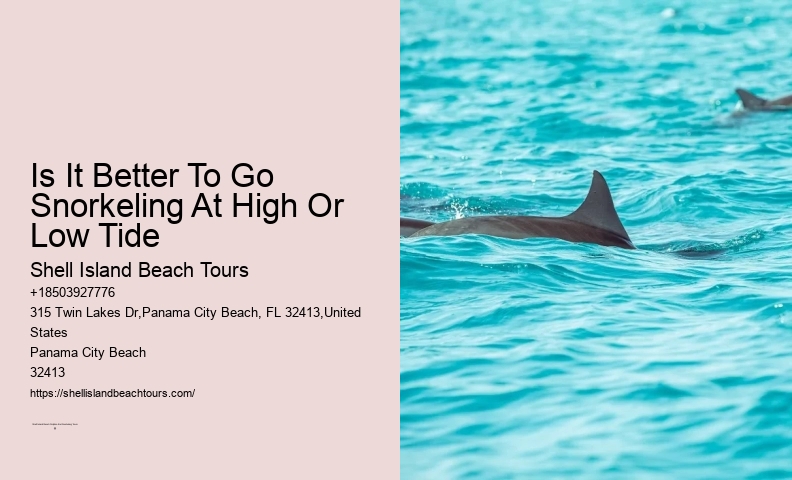 Seashore Safari Tours