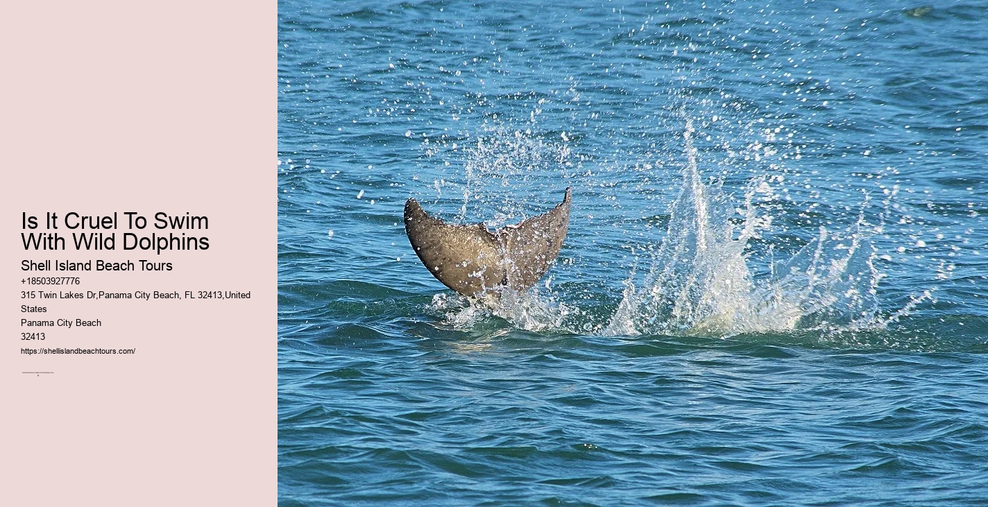 Wear Only A Swimsuit