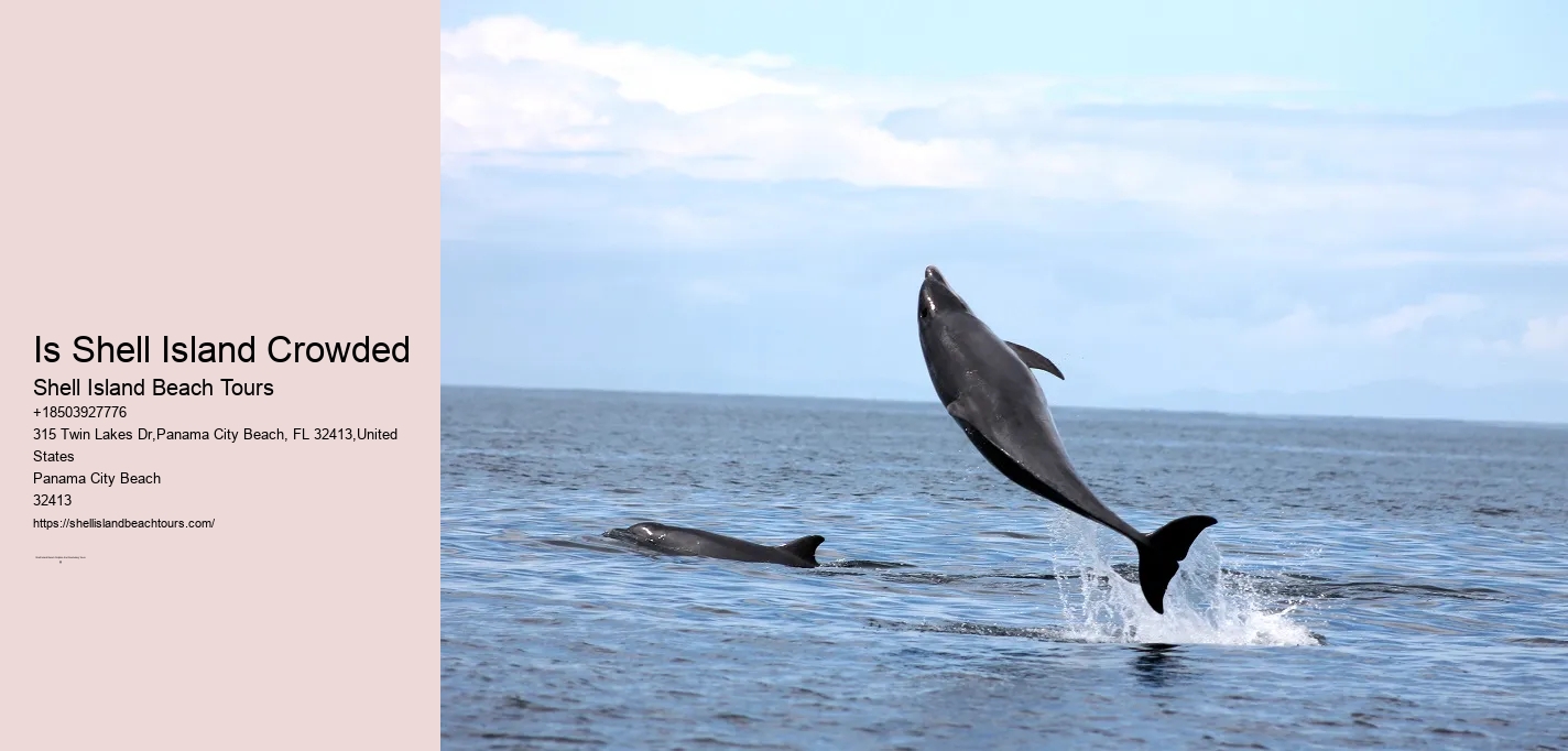 Is Shell Island Crowded