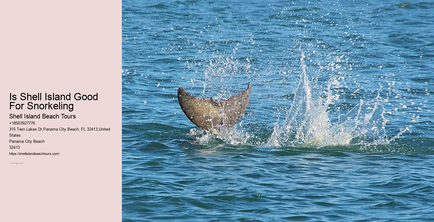 Beachcomber Odyssey Cruise