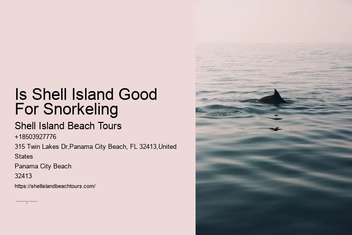 Is Shell Island Good For Snorkeling
