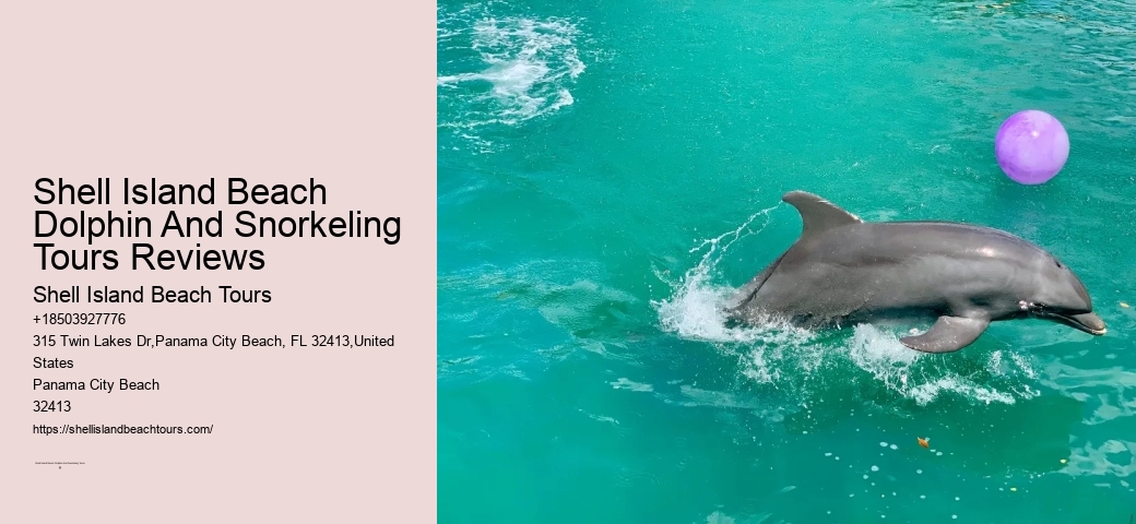 What Time Of Day Are Dolphins Most Active