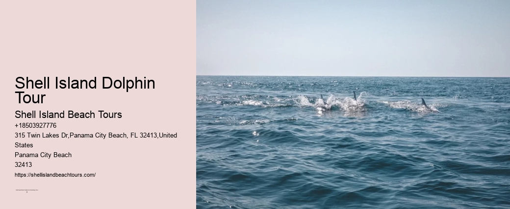 Shell Island Dolphin Tour