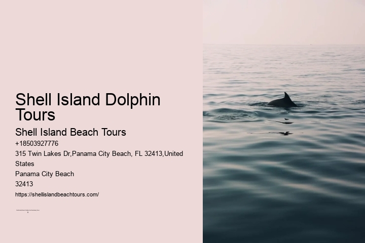 Shell Island Dolphin Tours