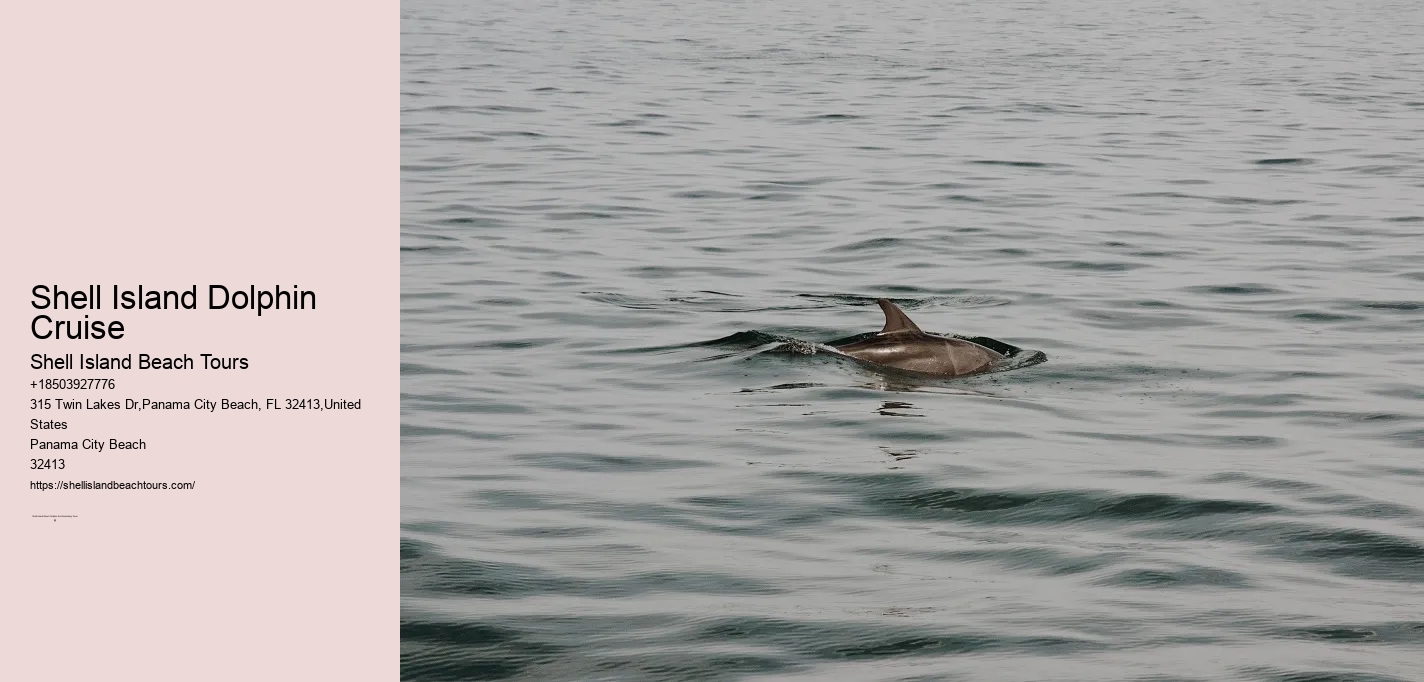 Shell Island Dolphin Cruise