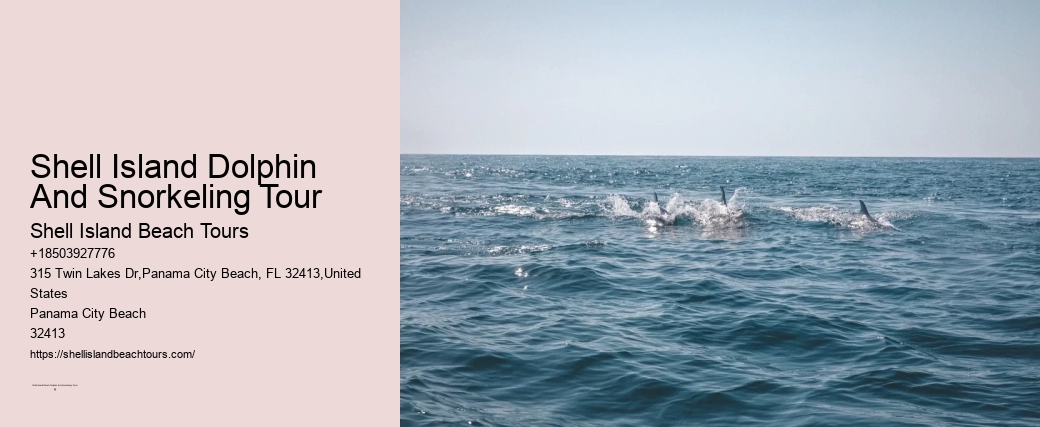 Dolphins Have Saved Humans On Many Occasions