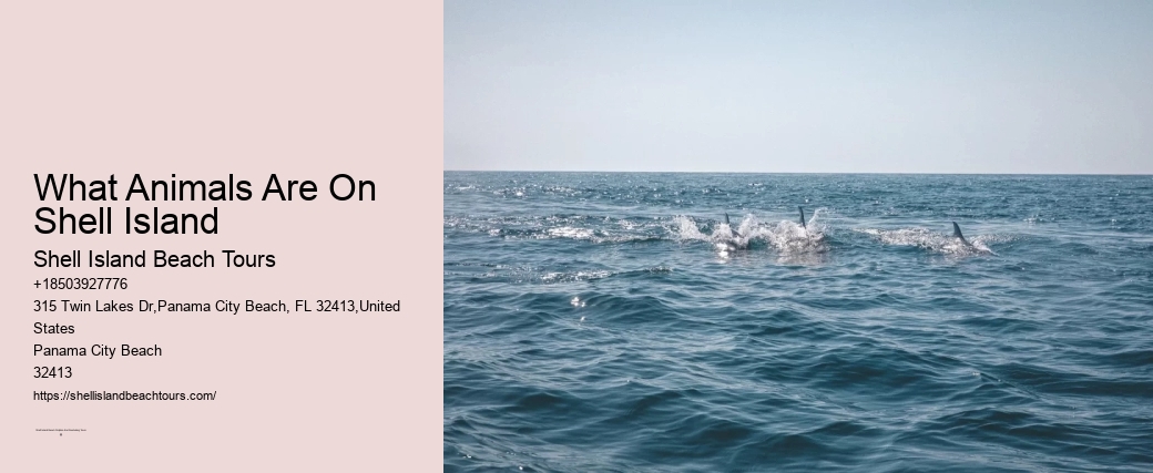 What Animals Are On Shell Island