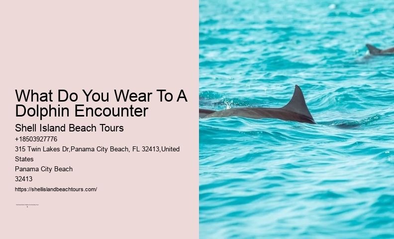 Swim-with-the-dolphins Attractions