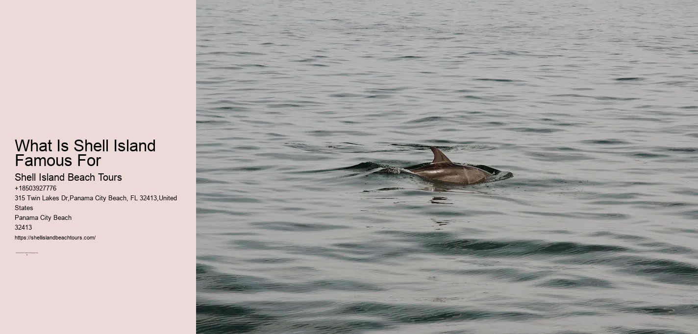 What Is Shell Island Famous For