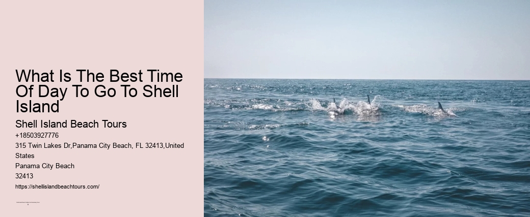 What Is The Best Time Of Day To Go To Shell Island