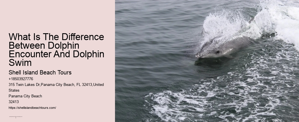 Snorkel Paradise Expeditions