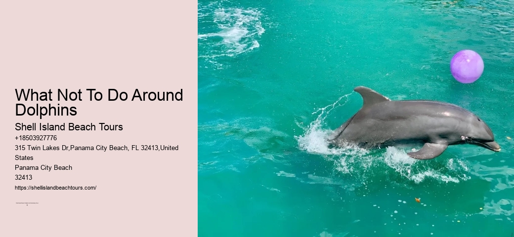 Isle Adventure Cruise