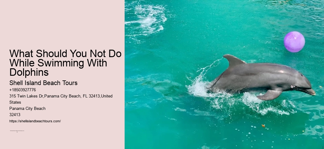 How Long Is Shell Island Tour