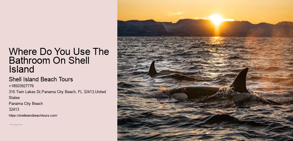 Where Do You Use The Bathroom On Shell Island