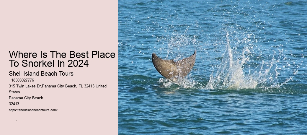 Where Is The Best Place To Snorkel In 2024