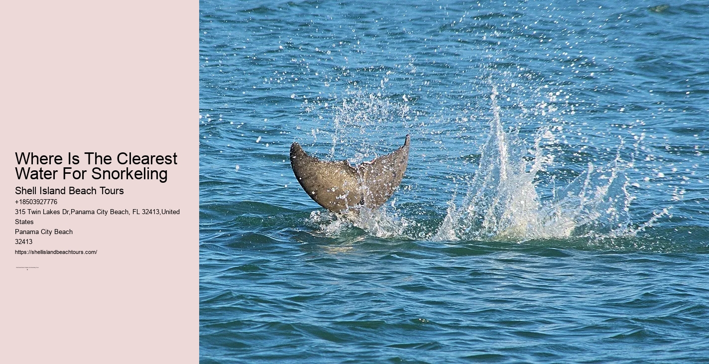 Snorkel Tranquility Trips