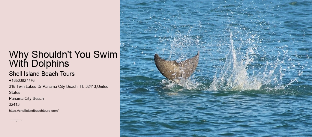 Visiting Shell Island